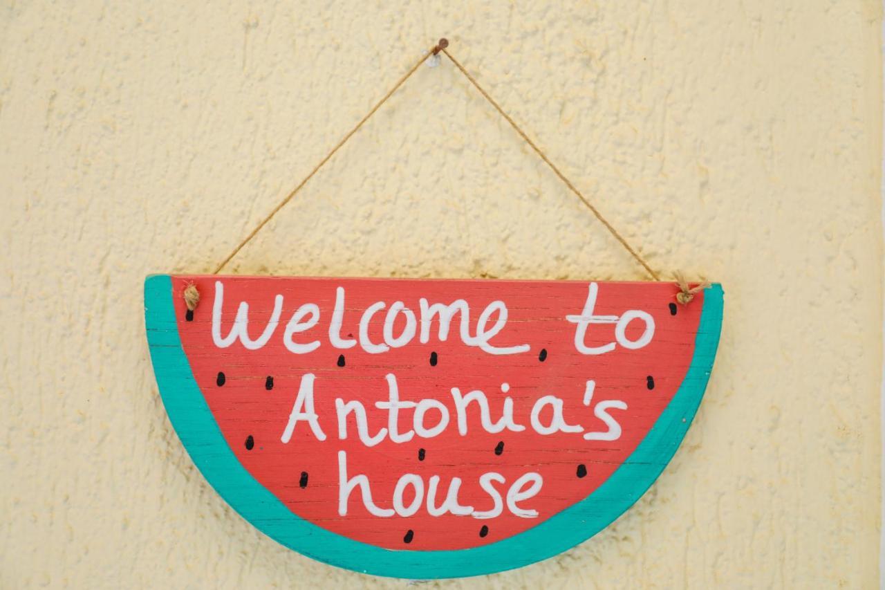 Antonia House Skiathos Town