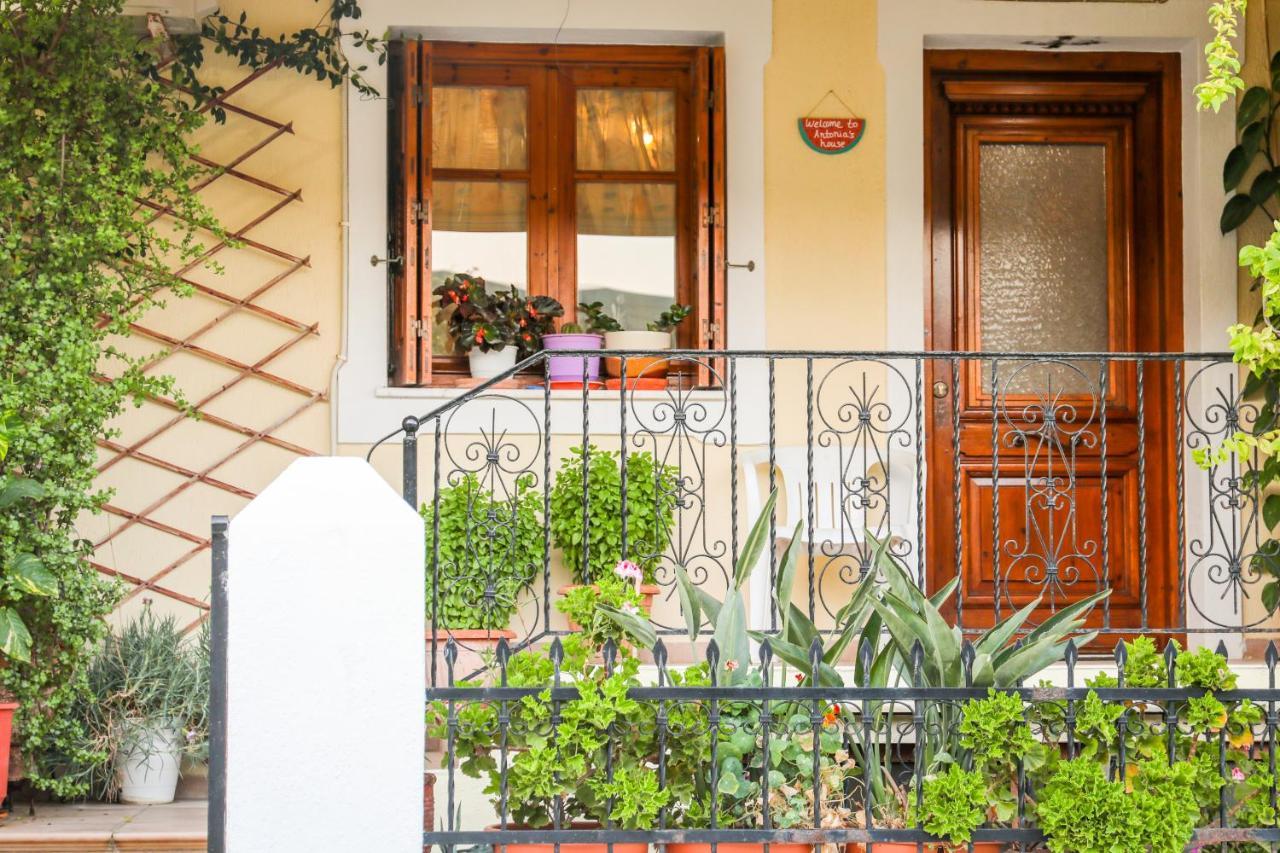 Antonia House *