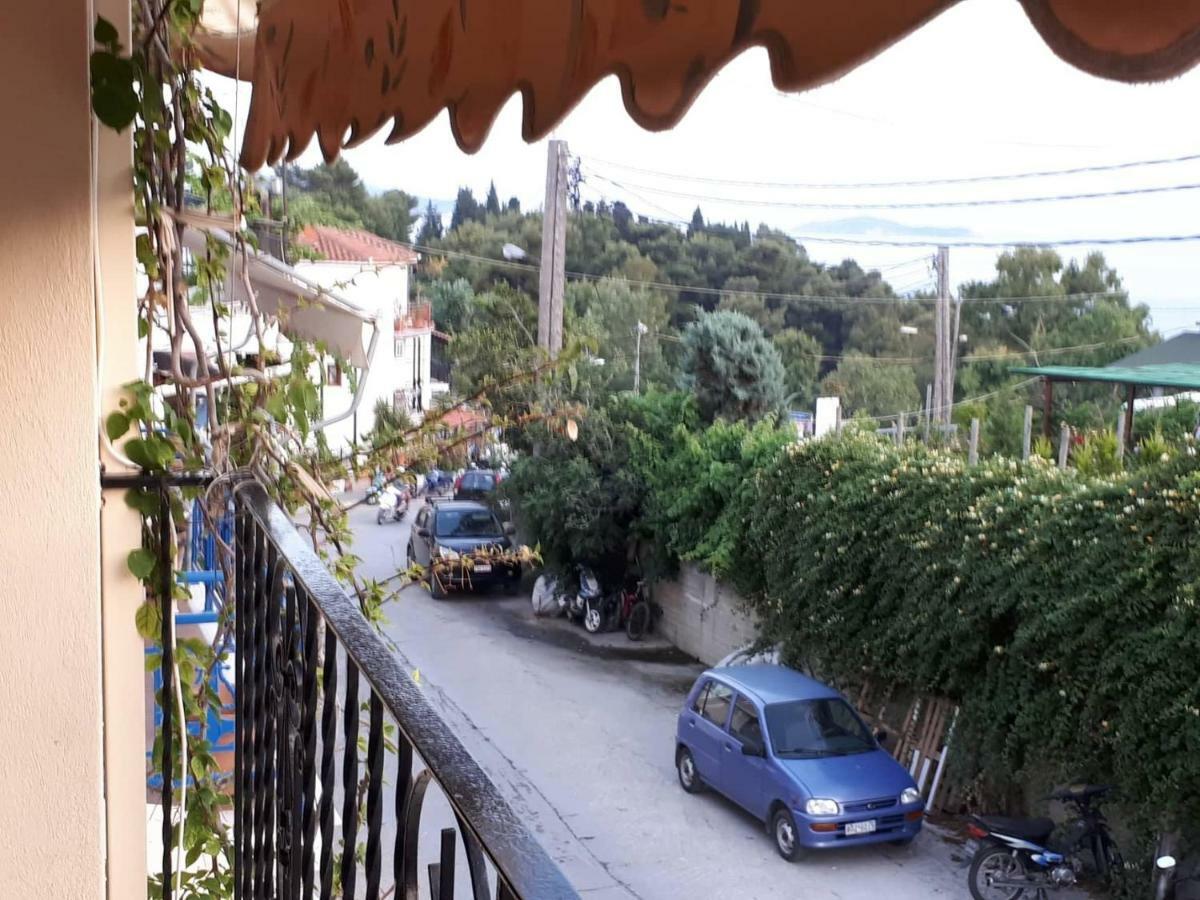 Antonia House *